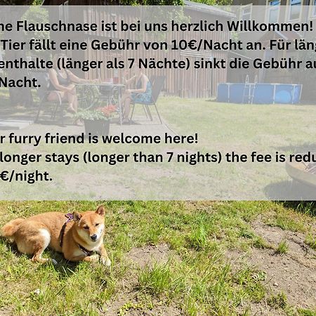 Helle gemütliche Wohnung mit Terrasse und Pool - H2 Sebnitz Exterior foto