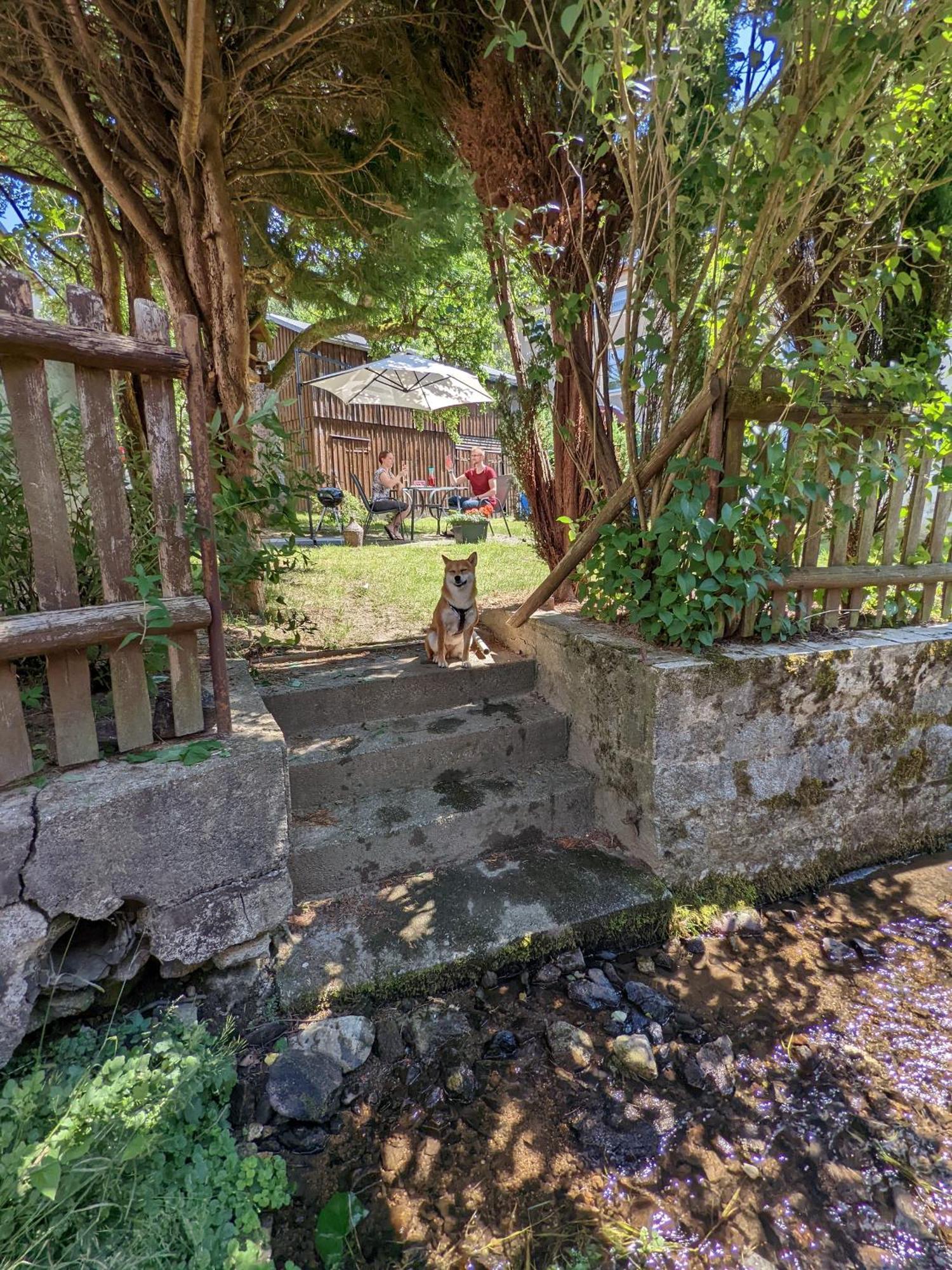 Helle gemütliche Wohnung mit Terrasse und Pool - H2 Sebnitz Exterior foto