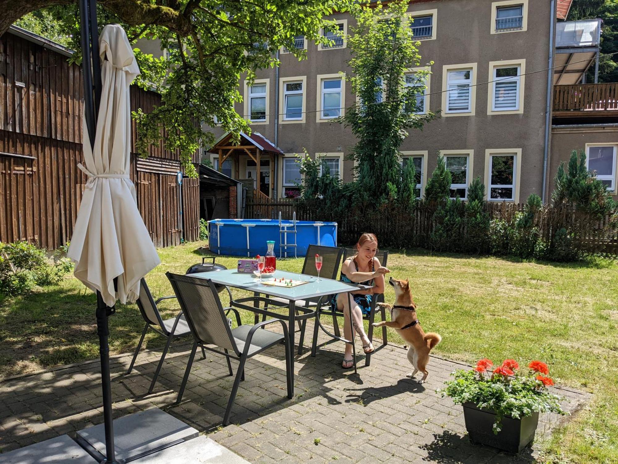 Helle gemütliche Wohnung mit Terrasse und Pool - H2 Sebnitz Exterior foto