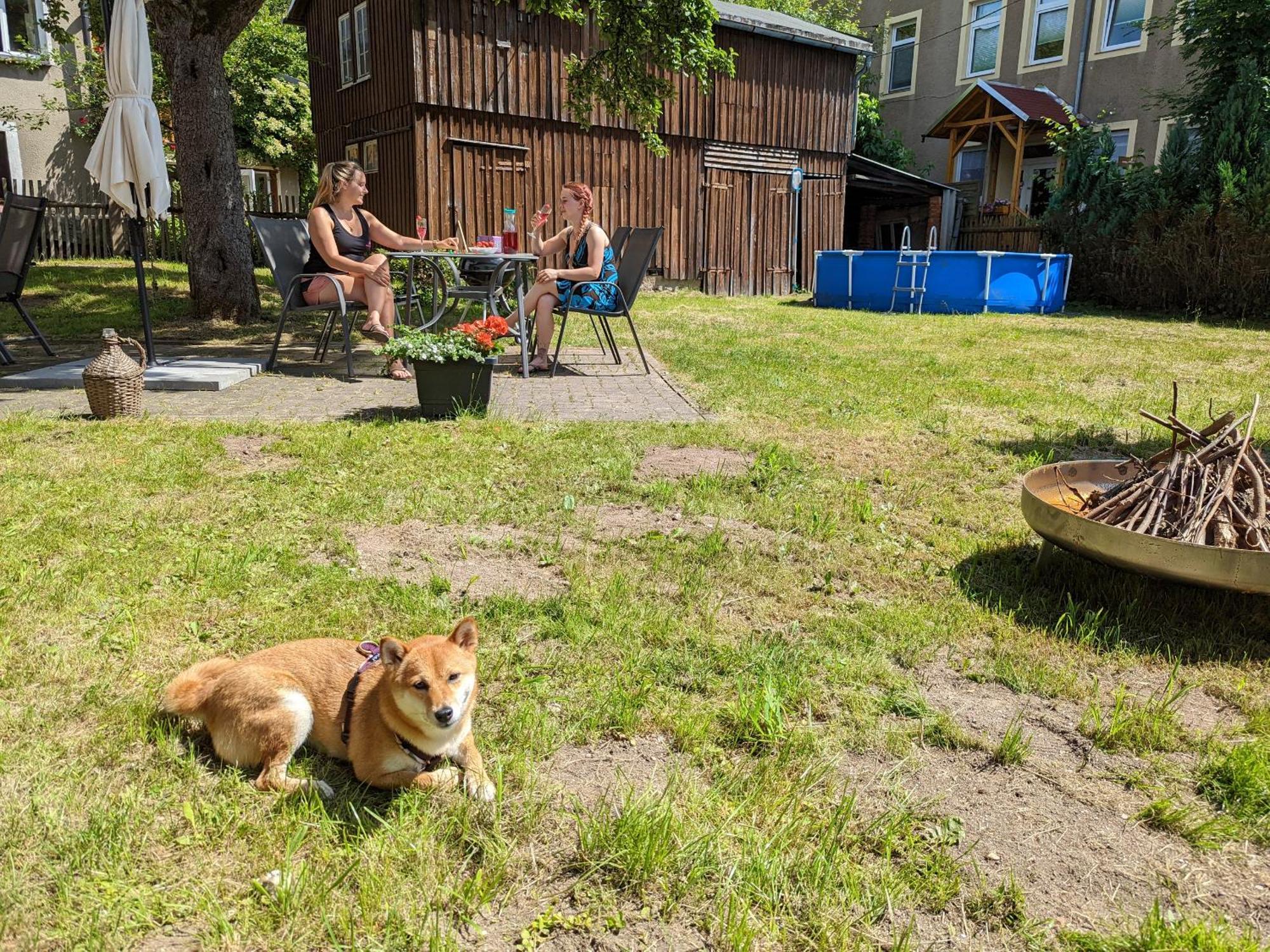 Helle gemütliche Wohnung mit Terrasse und Pool - H2 Sebnitz Exterior foto